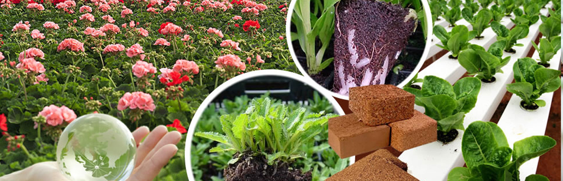 Purchase Coco Coir Products in Bluck direct from Manufacture